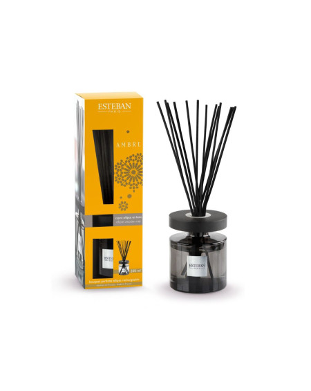 BOUQUET PARFUME ELLIPSE 200ML AMBRE ESTEBAN