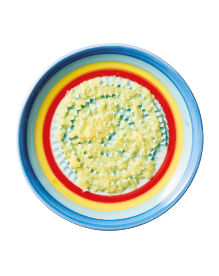 ASSIETTE GRATTOIR A AIL Ø12  ARC EN CIEL BLEU