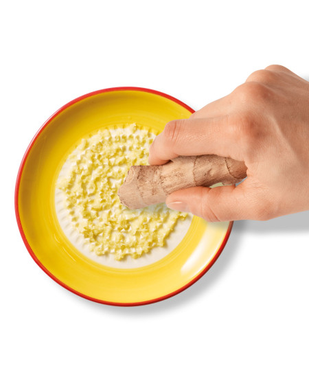 ASSIETTE GRATTOIR A AIL Ø12 JAUNE LISERET ROUGE